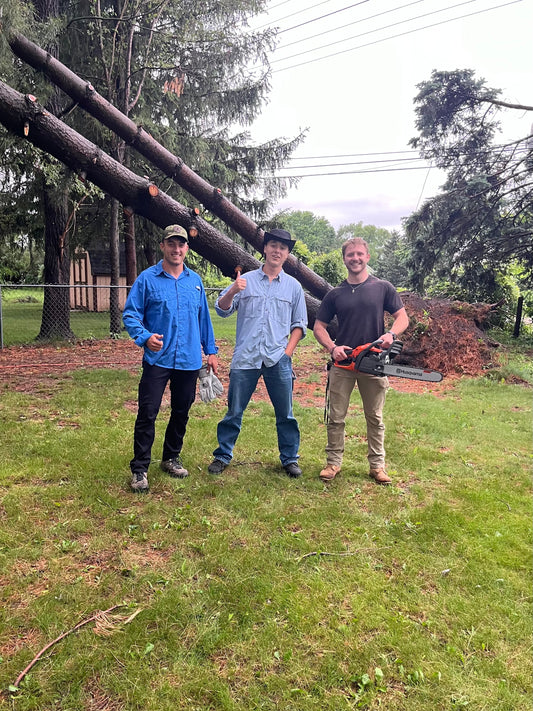 Helping a Madison Family Recover After the Storm
